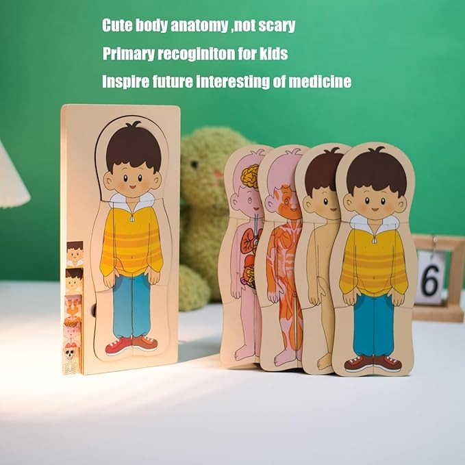 Multi-Layer Children’s Body Structure Puzzle Toys for Boys Girls Educational Kids Intelligence Toy Bright Colors and Cartoon Patterns