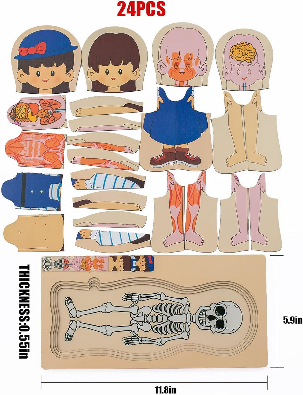 Multi-Layer Children’s Body Structure Puzzle Toys for Boys Girls Educational Kids Intelligence Toy Bright Colors and Cartoon Patterns