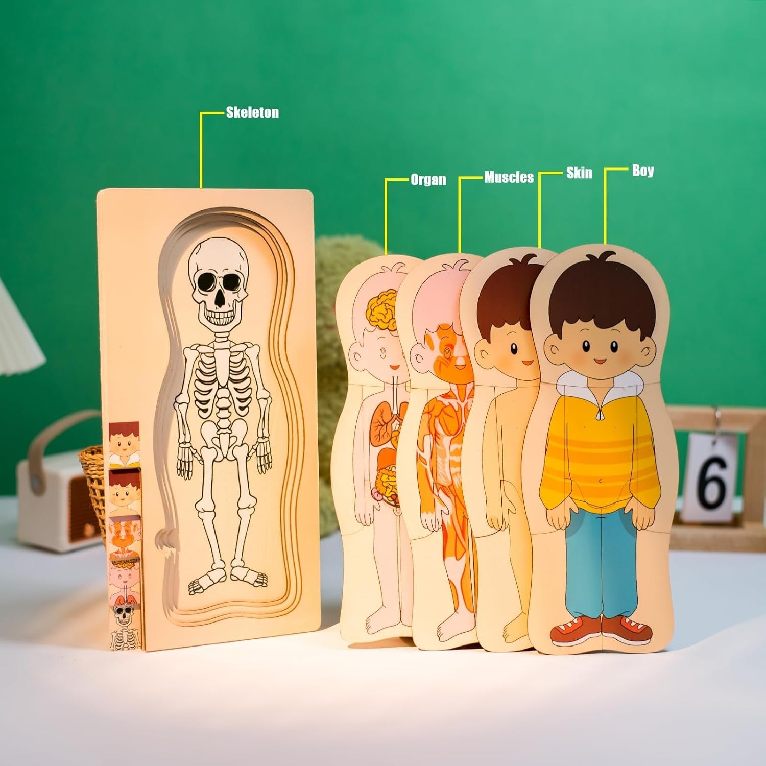 Multi-Layer Children’s Body Structure Puzzle Toys for Boys Girls Educational Kids Intelligence Toy Bright Colors and Cartoon Patterns