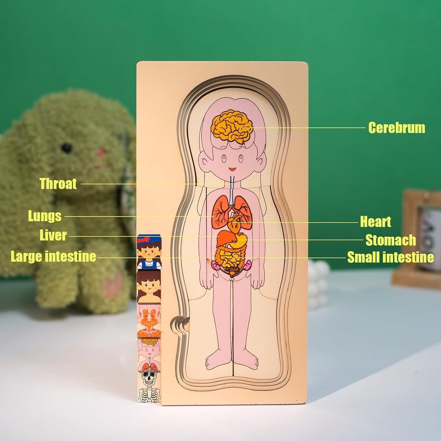 Multi-Layer Children’s Body Structure Puzzle Toys for Boys Girls Educational Kids Intelligence Toy Bright Colors and Cartoon Patterns