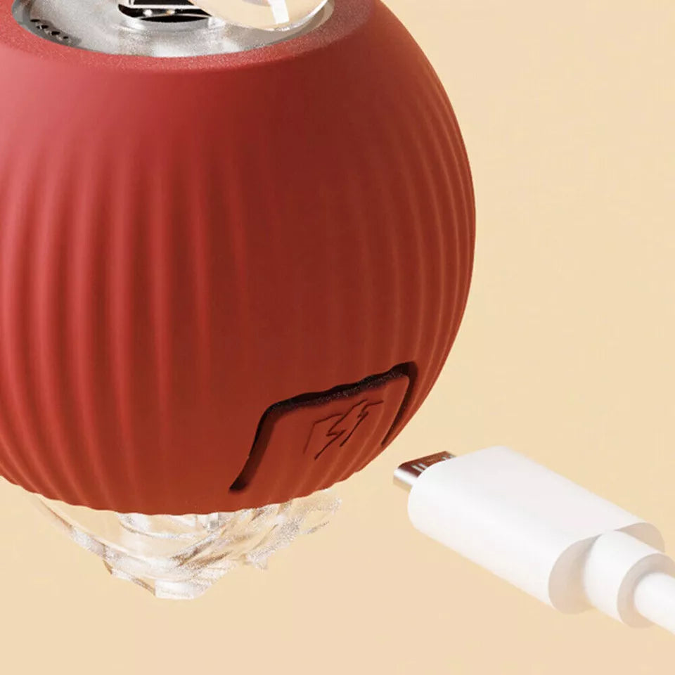 Automatic Cat Interactive Rolling Ball